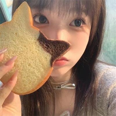 倒霉熊之茶杯旅行记