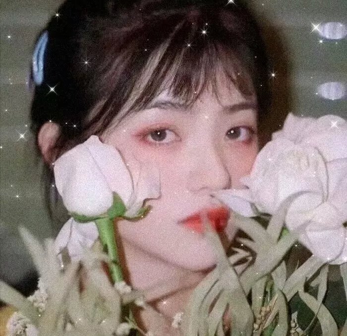 摘星甜点王
